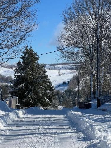 a snow covered road with trees and a hill at Casa Roma Lac in Brebu Nou