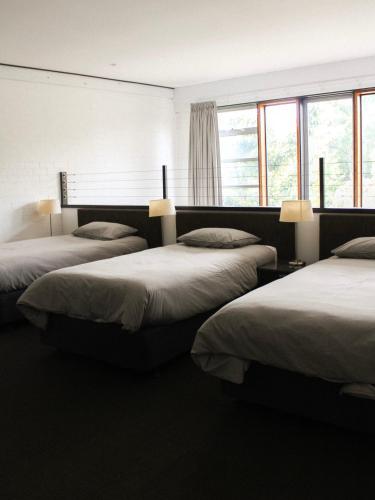 three beds in a room with windows at Big Modern Loft Apt - Central - 7 Beds, 9 Guests - Workers, Families, Groups, Teams in Narrabundah