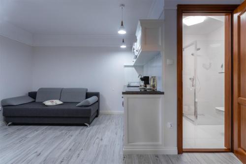 a living room with a couch and a bathroom at Willa Grono in Krościenko