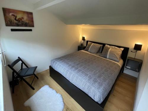 een kleine slaapkamer met een bed en een stoel bij Boshuis met erg veel luxe in Rheezerveen