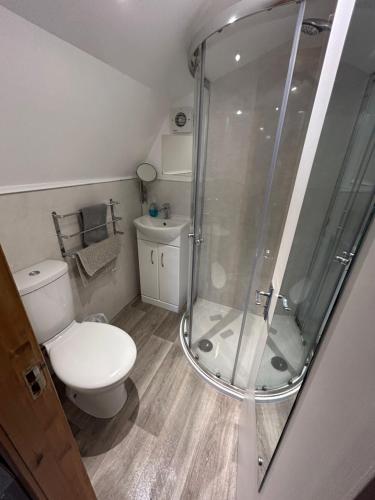 a bathroom with a toilet and a glass shower at Morvan Pod in Fort William