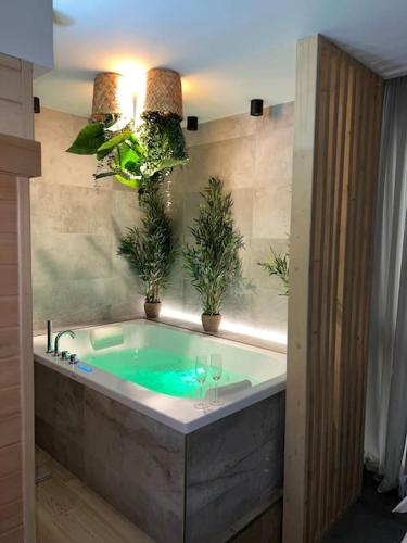 Φωτογραφία από το άλμπουμ του Spa - Sauna privatif plein centre στο Τρουά