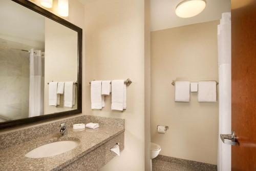 a bathroom with a sink and a mirror and a toilet at Drury Inn & Suites Valdosta in Valdosta