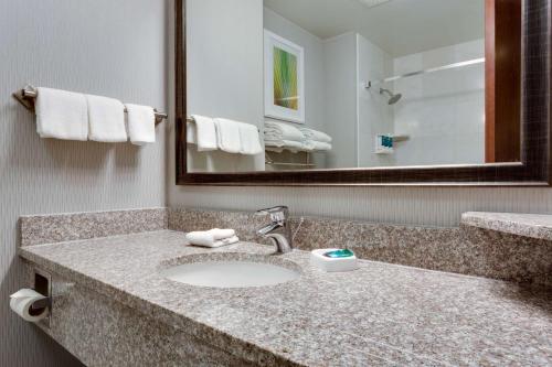 a bathroom with a sink and a mirror at Drury Inn & Suites St. Louis/O'Fallon, IL in O'Fallon