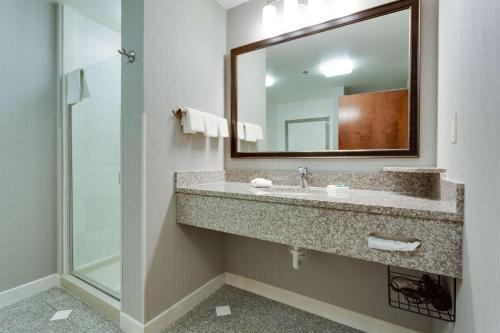 Un baño de Drury Inn & Suites St. Louis/O'Fallon, IL