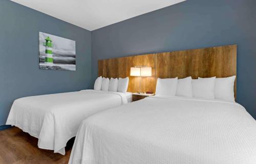 two beds in a room with blue walls at Extended Stay America Premier Suites - Phoenix - Chandler - Downtown in Chandler