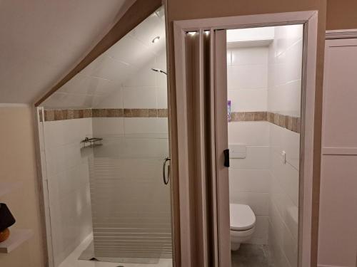 uma casa de banho com chuveiro e WC em BELLA VITA Les Terrasses de Malmédy Triplex 264 em Malmedy