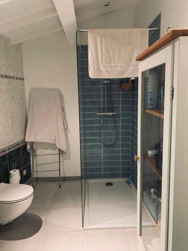 une salle de bain avec douche et toilettes dans l'établissement Bourg sur Gironde, à Bourg