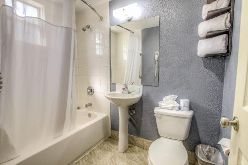 La salle de bains est pourvue d'un lavabo, de toilettes et d'une douche. dans l'établissement Beach House Inn, à Daytona Beach