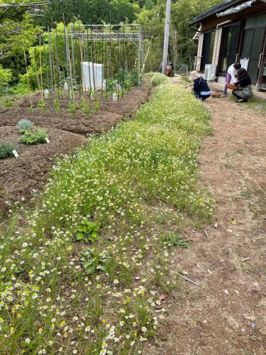 Jardín al aire libre en たけ丸