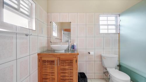a bathroom with a sink and a toilet at Kaibus Place- Quaint Quiet and Cosy in Morne Rouge