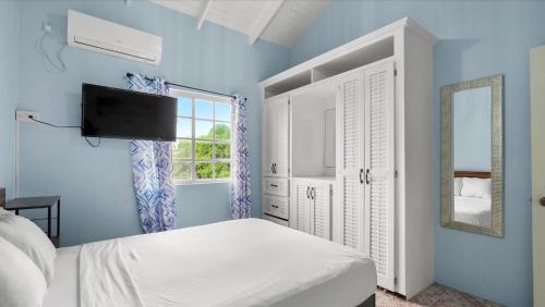 a blue bedroom with a bed and a mirror at Kaibus Place- Quaint Quiet and Cosy in Morne Rouge