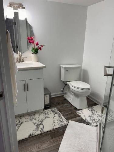 a bathroom with a toilet and a sink and a mirror at Luxurious Basement Guest Suite in Elkridge in Elkridge