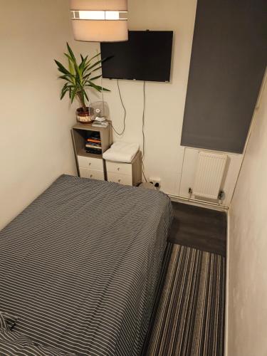 um quarto com uma cama e uma planta em single room close to the city em Londres