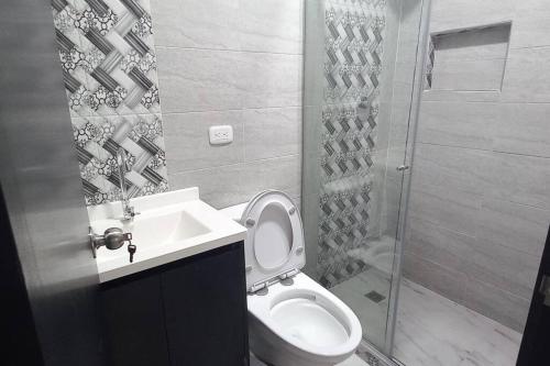 ein Bad mit einem WC, einem Waschbecken und einer Dusche in der Unterkunft Apartamento central y tranquilo in Palmira