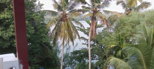 a view of palm trees from a building at The Green Lagoon Villa in Hikkaduwa