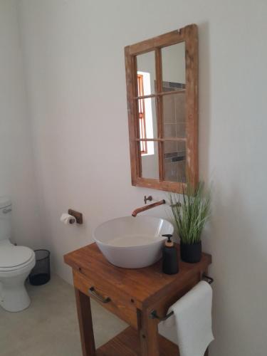 a bathroom with a sink and a mirror and a toilet at Vischgat farm guest house in Loxton