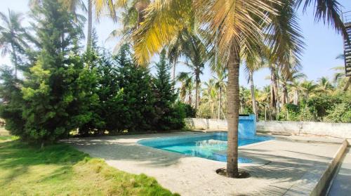 a swimming pool with a palm tree in a yard at SHAN Stay home Mysore No in Mysore