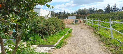 a dirt road in a garden with a fence at L'écurie orangerie in Hammamet Nord