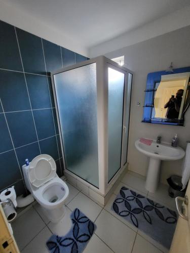 a bathroom with a shower and a toilet and a sink at Cocon des iles in Flic-en-Flac