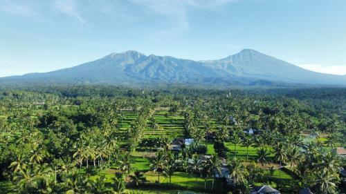 an aerial view of a village with a mountain in the background at MyHome - Lombok in Tetebatu