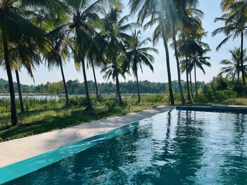 a swimming pool in front of palm trees at Tsuru Villa in Udawalawe