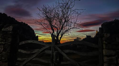 a tree in front of a fence with a sunset at La Fonda de Xiva in Chiva de Morella