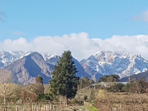 a mountain range with a tree in the foreground at At 37 Masters Way in Brandwacht