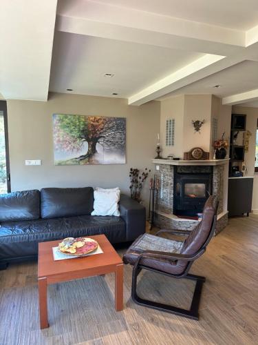 Ruang duduk di Vila Garden River Jahorina - Sarajevo