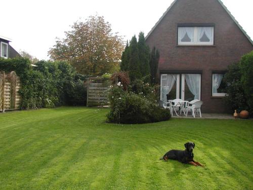a black dog laying in the grass in a yard at Haus Strandkrabbe in Hooksiel