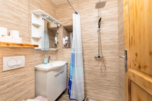 a bathroom with a shower and a toilet and a sink at Villa 1900 in Kornić