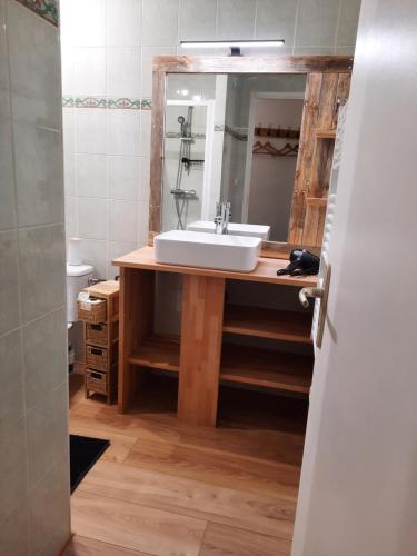 ein Bad mit einem Waschbecken und einem Spiegel in der Unterkunft maison bonheur in Cerizay