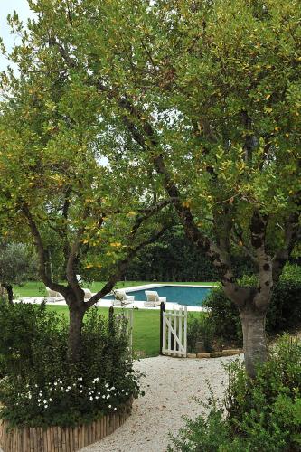 two trees in a yard with a white fence at Villa Anitori Prestige Relais & Spa in Loro Piceno