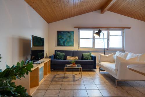 ein Wohnzimmer mit einem Sofa und einem TV in der Unterkunft Casa Rosa in Arisdorf