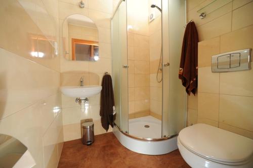 a bathroom with a shower and a toilet and a sink at Villa Arcadia in Sarbinowo