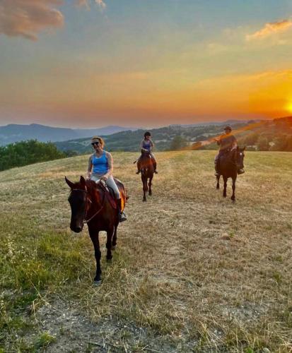 three people riding horses in a field at sunset at Peker House in Bosmenso Superiore