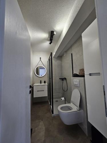 a bathroom with a toilet and a sink and a mirror at Apartman 33 in Kiseljak