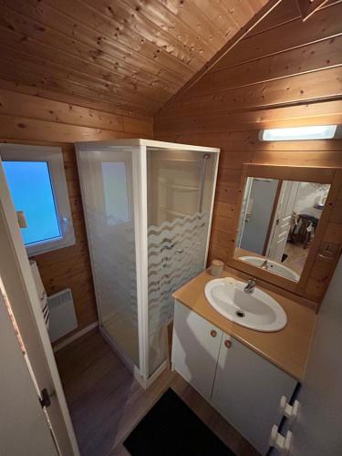 une petite salle de bain avec un lavabo et une douche dans l'établissement En toute quiétude, à Lissac-sur-Couze
