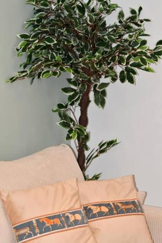 un pot dans l'angle d'une pièce à côté d'un canapé dans l'établissement L'amour à la plage, à Deauville