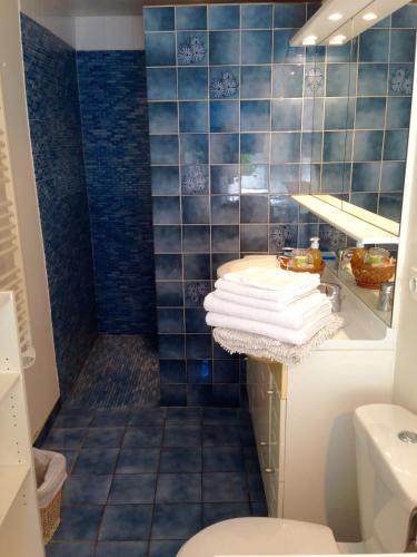 La salle de bains est pourvue de toilettes et d'une douche avec du carrelage bleu. dans l'établissement Résidences Le Clos du Manoir - Self Cooking, à Gauciel