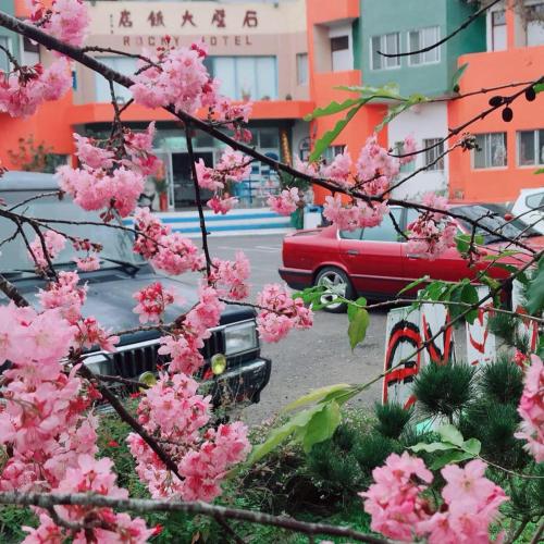 a tree with pink flowers in front of a street at Shi Bi Hotel in Gukeng