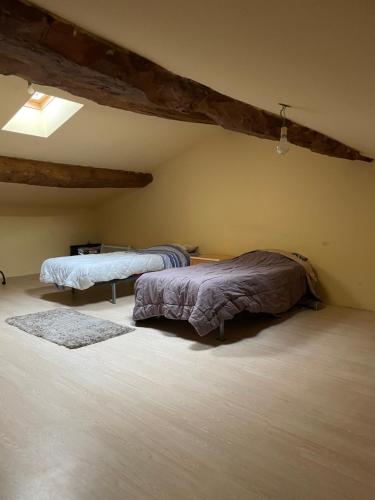 a bedroom with two beds in a attic at chambre simple proche aéroport in Pusignan