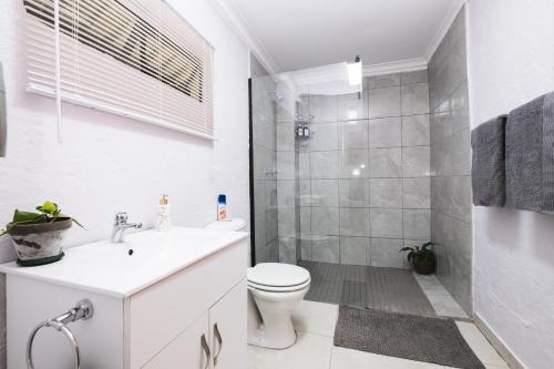 La salle de bains est pourvue d'un lavabo, de toilettes et d'une douche. dans l'établissement The Puffin's Nest, à Hilton