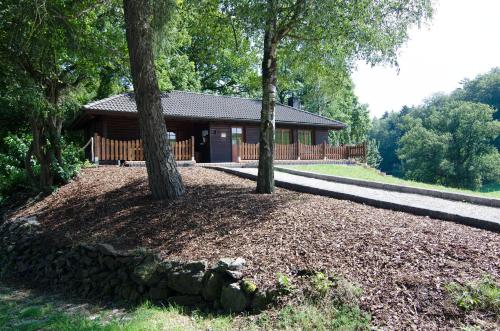 a log cabin with two trees in front of it at Das Ferienhaus Mondschein im Land der tausend Berge - Erholung Pur in idyllischer Alleinlage in Lennestadt