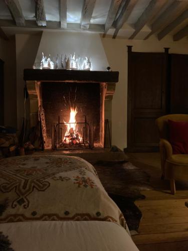 sala de estar con chimenea y chimenea en Chambre avec 4 couchages plein cœur de village, en Neauphle-le-Château