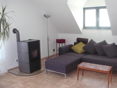 a living room with a couch and a tv at Ferienwohnung Rhönbauer Altengronau in Sinntal