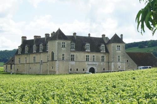 un vieux château sur une colline avec un champ verdoyant dans l'établissement logez au cœur de la route des grands crus, à Vougeot
