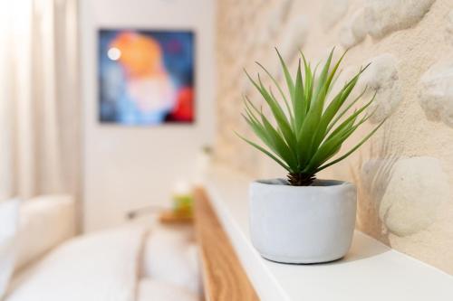 a potted plant sitting on a counter in a bathroom at La Barule in Charols