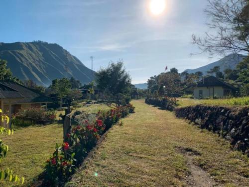 eine Reihe von Blumen auf einem Feld mit Bergen im Hintergrund in der Unterkunft Lembah Rinjani Villa & Resto by ecommerceloka in Sembalun Lawang