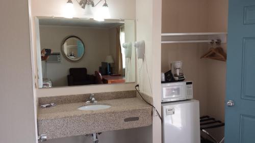 baño con lavabo, espejo y microondas en Executive Inn & Suites, en Lakeview